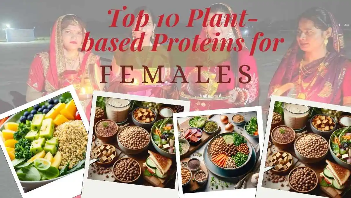 Top 10 plant based proteins